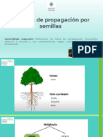 SEMANA 2-CLASE N2 (Parte 1) Cultivos Hidropónico