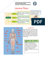 Sistema Óseo