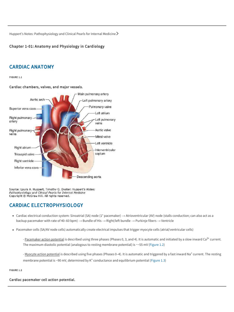Huppert's Notes on Cardiac Physiology | PDF