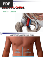 Inguinal Canal Anatomy and Boundaries | PDF