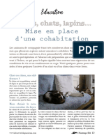 Article Chiens Chats