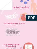 Sistema Endocrino.