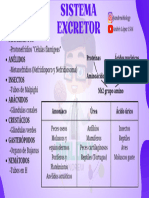 BIOLOGÍA (Sist - excretorANIMALES) @andrewbiology