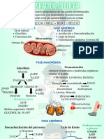 BIOLOGÍA (Res - Celular) @andrewbiology