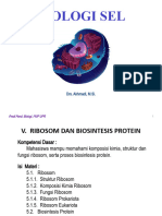 Ribosom Dan Biosintesis Protein