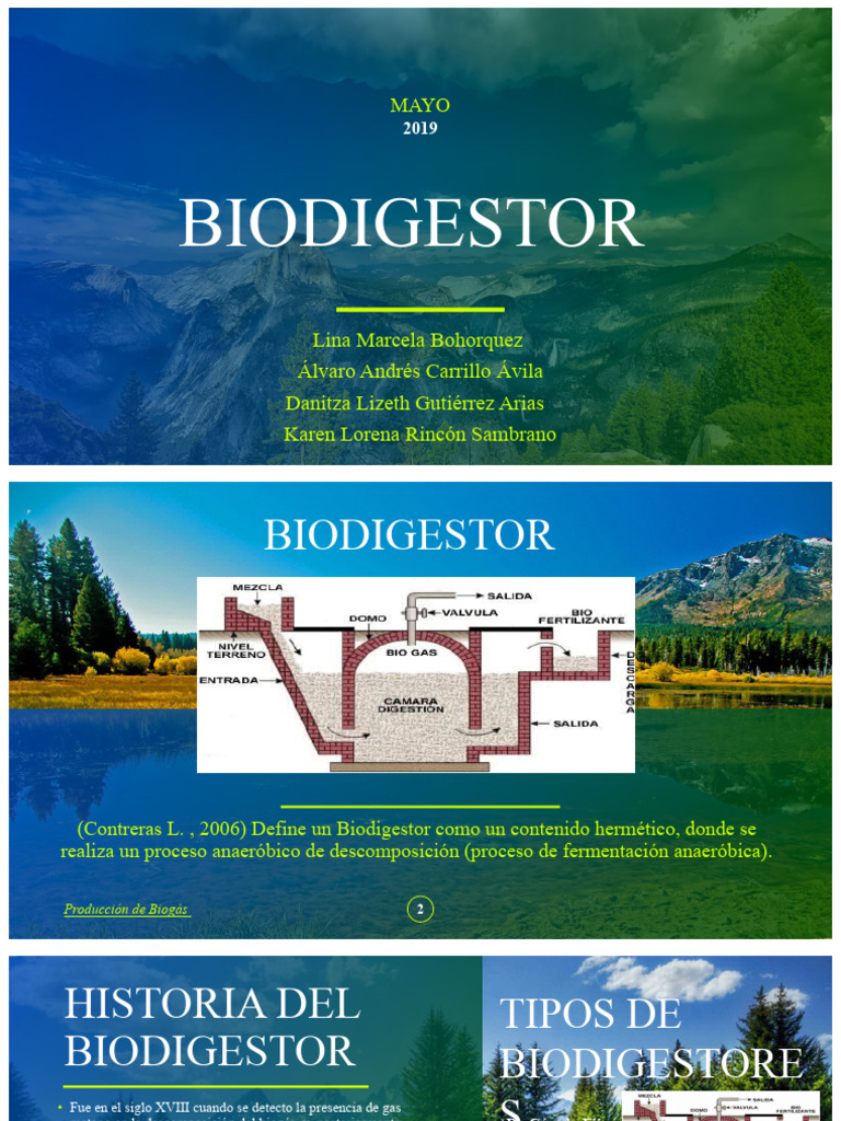 Tipos y Funcionamiento del Biodigestor | PDF | Biogás | Digestión