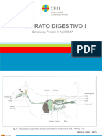 A4. Digestivo 1