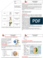 Charla de 5 Minutos Del 3 - 8 Oct