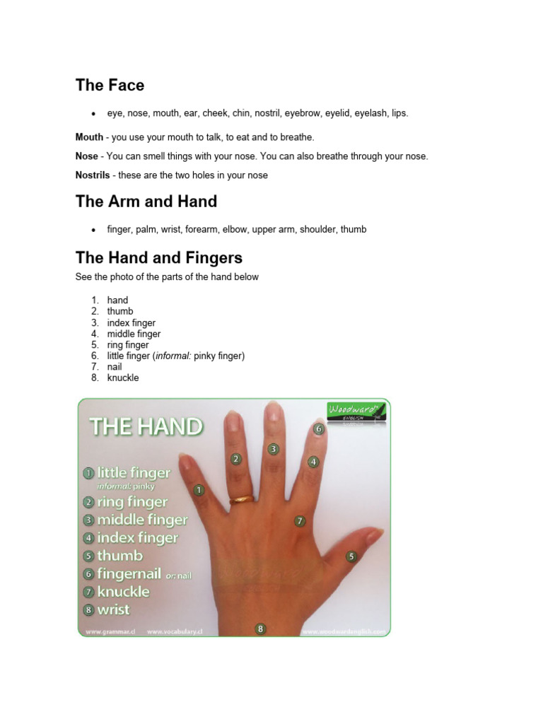 Body Parts and Health Issues Explained | PDF | Hand | Pain