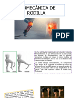 Biomecánica de Rodilla