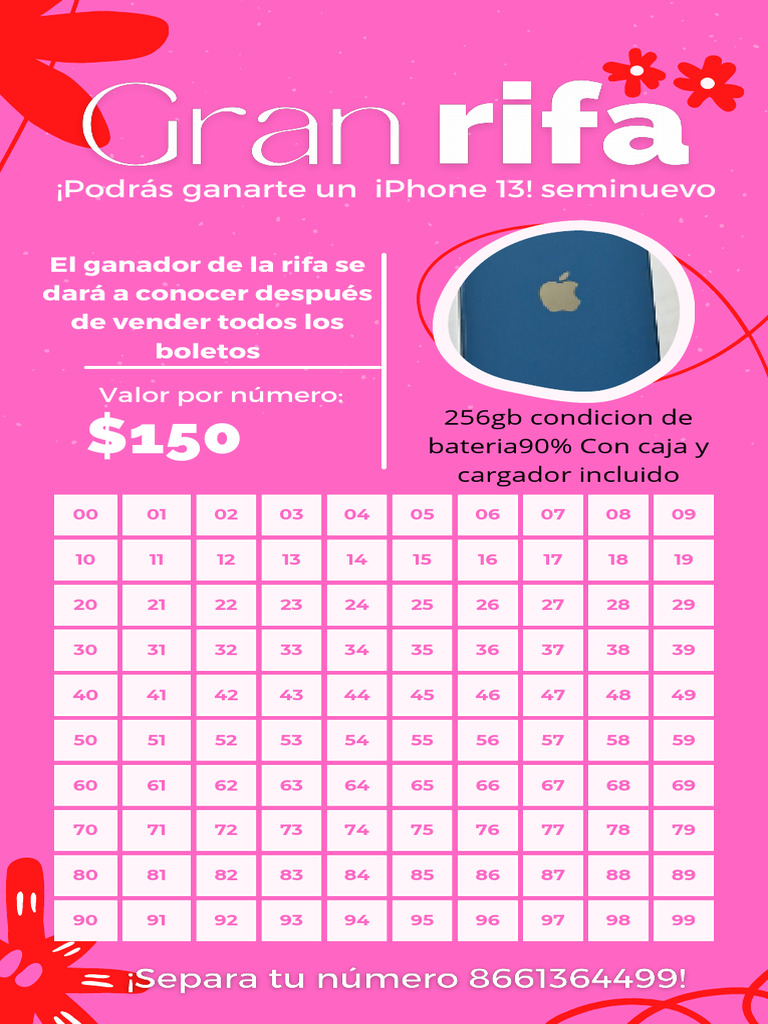 Tableros de Rifa: Diseños y Números | PDF