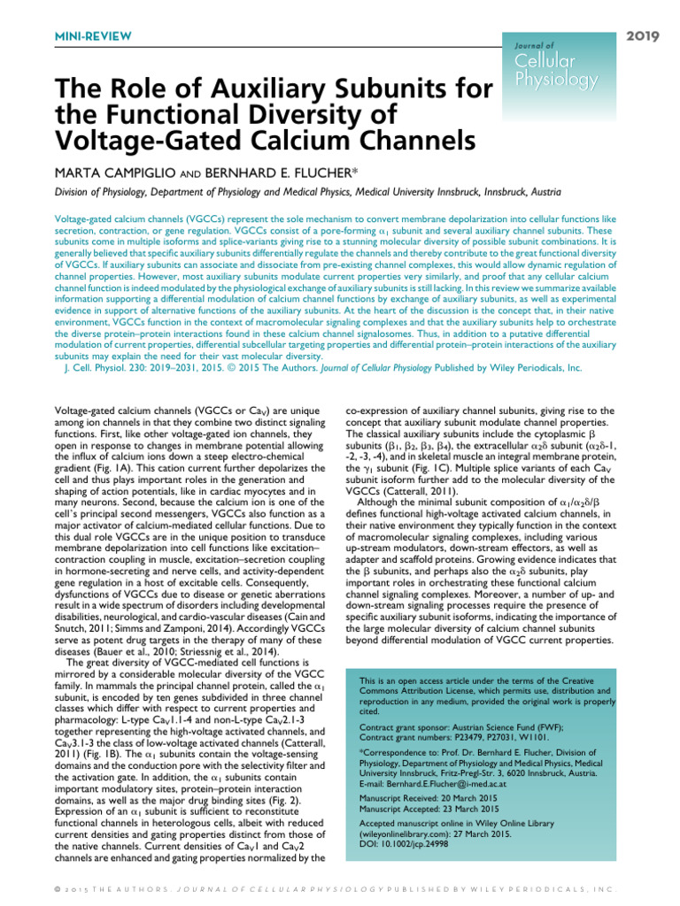Auxiliary Subunits in Calcium Channels | PDF | Cell Signaling | Protein ...