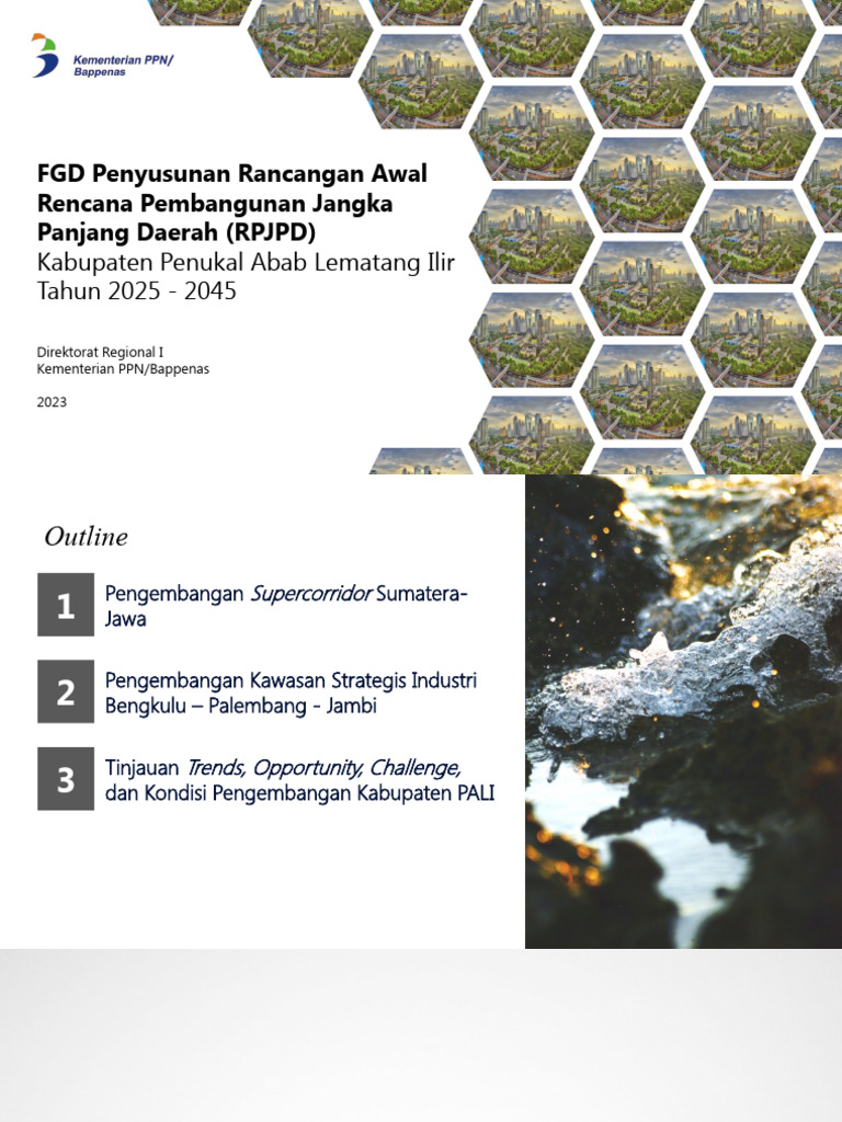 v2 FGD Penyusunan RPJP Kabupaten PALI | PDF