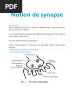 Notion de Synapse