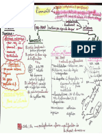 résumé 2 immunologie