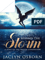 Beyond The Storm - A Sons of The - Jaclyn Osborn