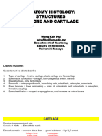 2024 - Anatomy Histology - Bone and Cartilage