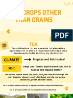 Food Crops Other Than Grains