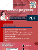 Eritropoyesis