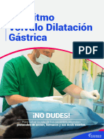 Copia de Algoritmo Vólvulo Dilatación Gástrica