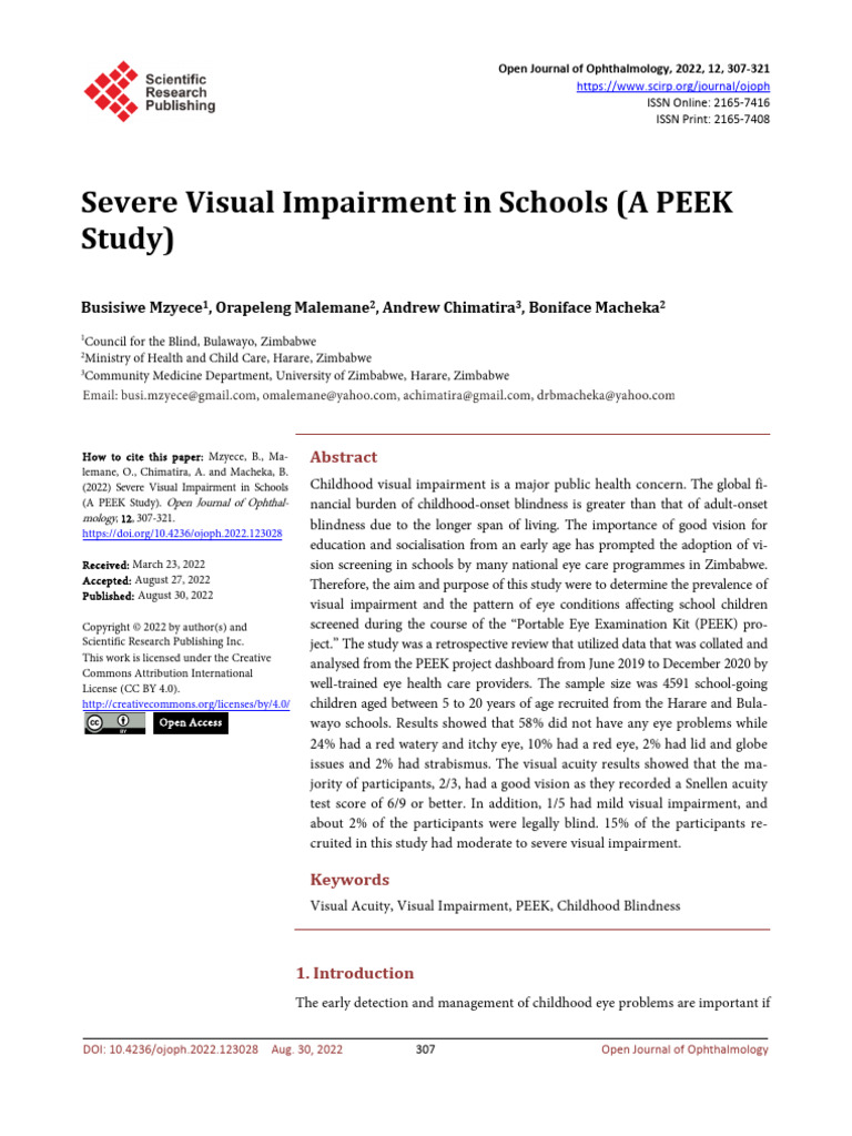 Severe Visual Impairment in Schools A PE | PDF | Visual Impairment ...