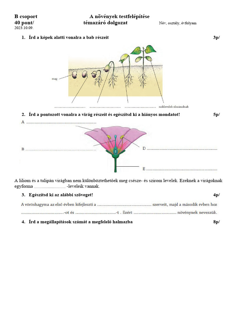 a-n-v-nyek-testfel-p-t-se-tz-b-pdf