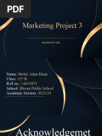 Marketing Project Promotion Mix