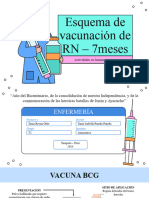 Esquema de Vacunacion de RN-7 Meses