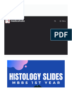 Histology Slides For MBBS 1st Year (With Identification Points) - Medicoholic