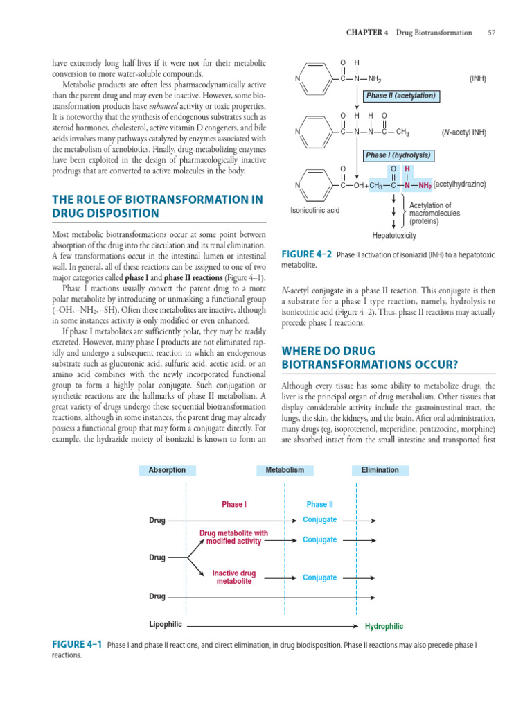Drug Biotransformation Mechanisms | PDF | Drug Metabolism | Cytochrome P450