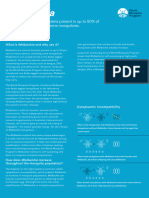 2023 WMP Wolbachia Fact Sheet - 1