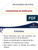 Aula - Ex Mic. Urina - Constituintes Do Sedimento