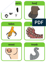 Animal Body Parts Flashcards Ver 2