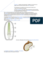 Structure: Modifier Modifier Le Code