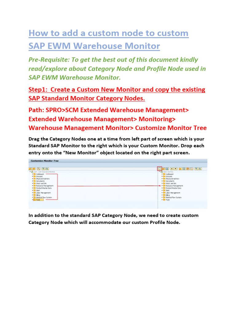 Custom Nodes in SAP EWM Warehouse Monitor PDF Computing