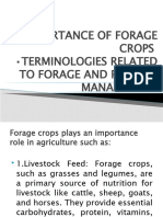 Importance of Forage Crops