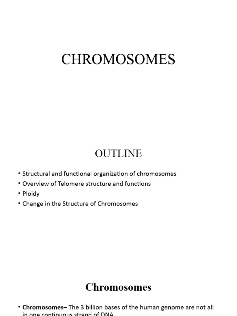 Understanding Chromosomes and Ploidy | PDF | Ploidy | Chromosome