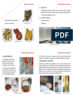 Taninos PDF
