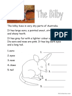 The Australian Bilby