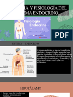 Anatomia Y Fisiología Del Sistema Endocrino