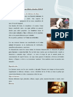 TEXTO EXPOSITIVO Miriel y Ornella 2ºESO D