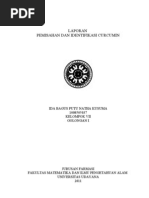 Download Laporan Pemisahan Dan Identifikasi Kurkumin by Reelglove SN71693219 doc pdf