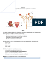 Sistema Excretor e Neuro Hormonal