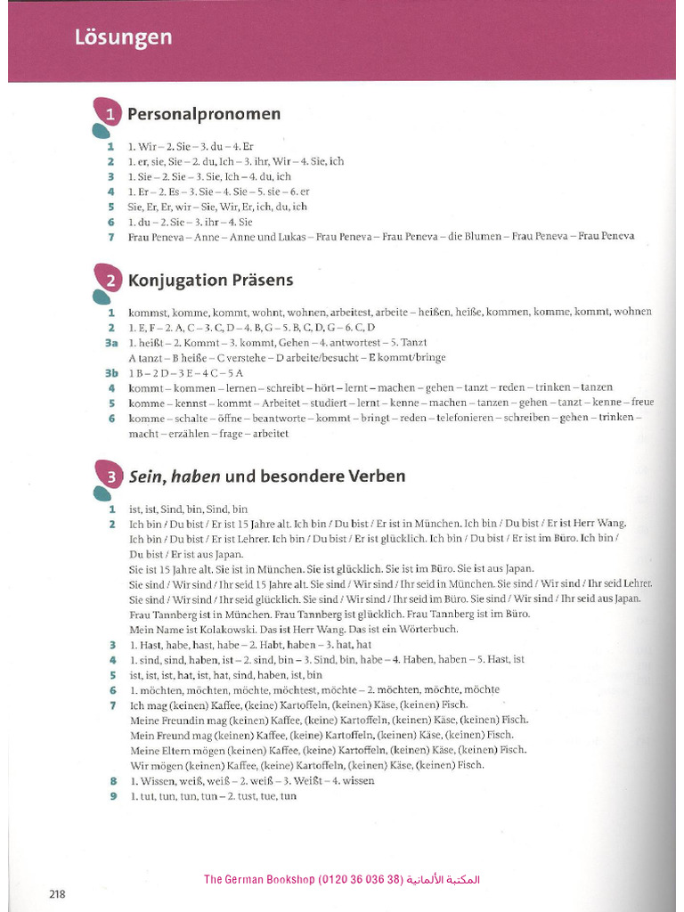 Grammatik Aktiv A1B1 Lösungen PDF