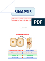 Clase Sinapsis 2020 2xp