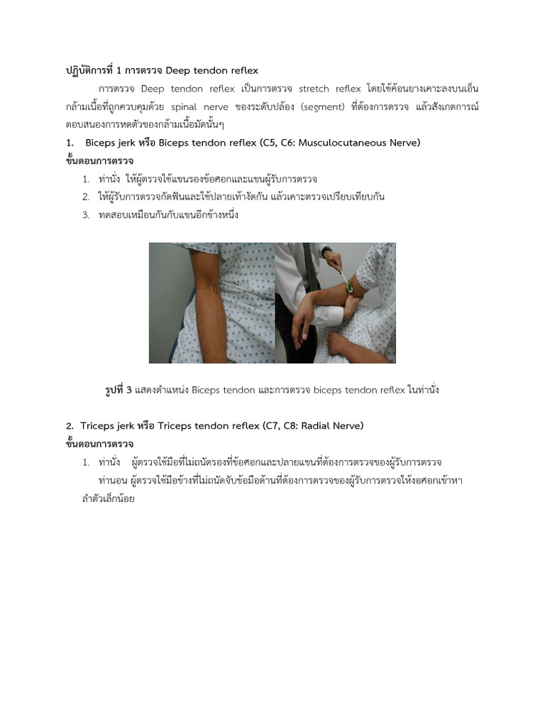 Lab Reflex | PDF