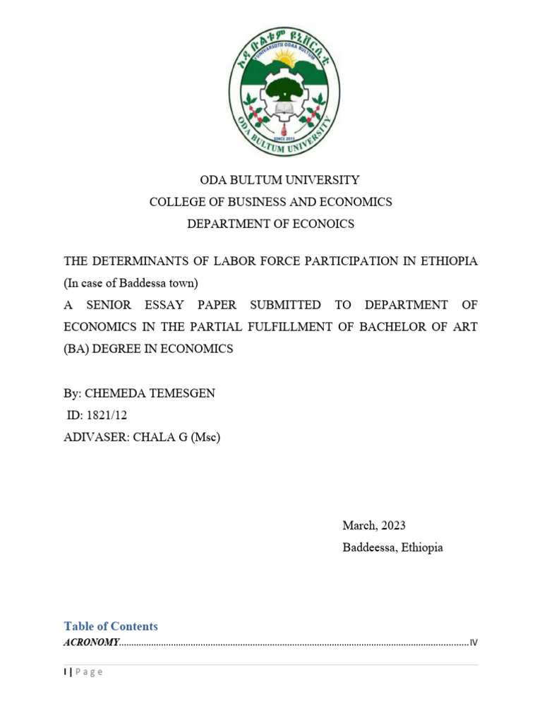 Determinants of Labor Participation in Baddeessa | PDF | Labour ...