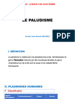 Paludisme B