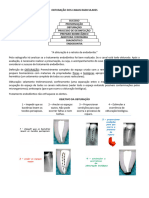 Obturação Dos Canais Radiculares