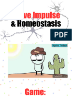 Nerve Impulse and Homeostasis